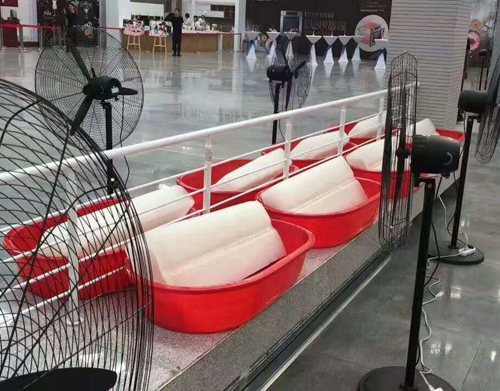 丝瓜APP色版冰塊案例