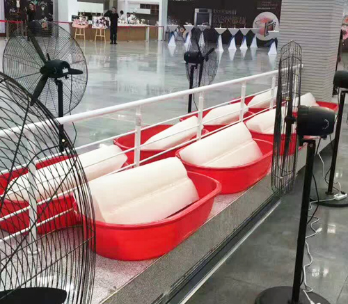 陝西丝瓜APP色版冰塊